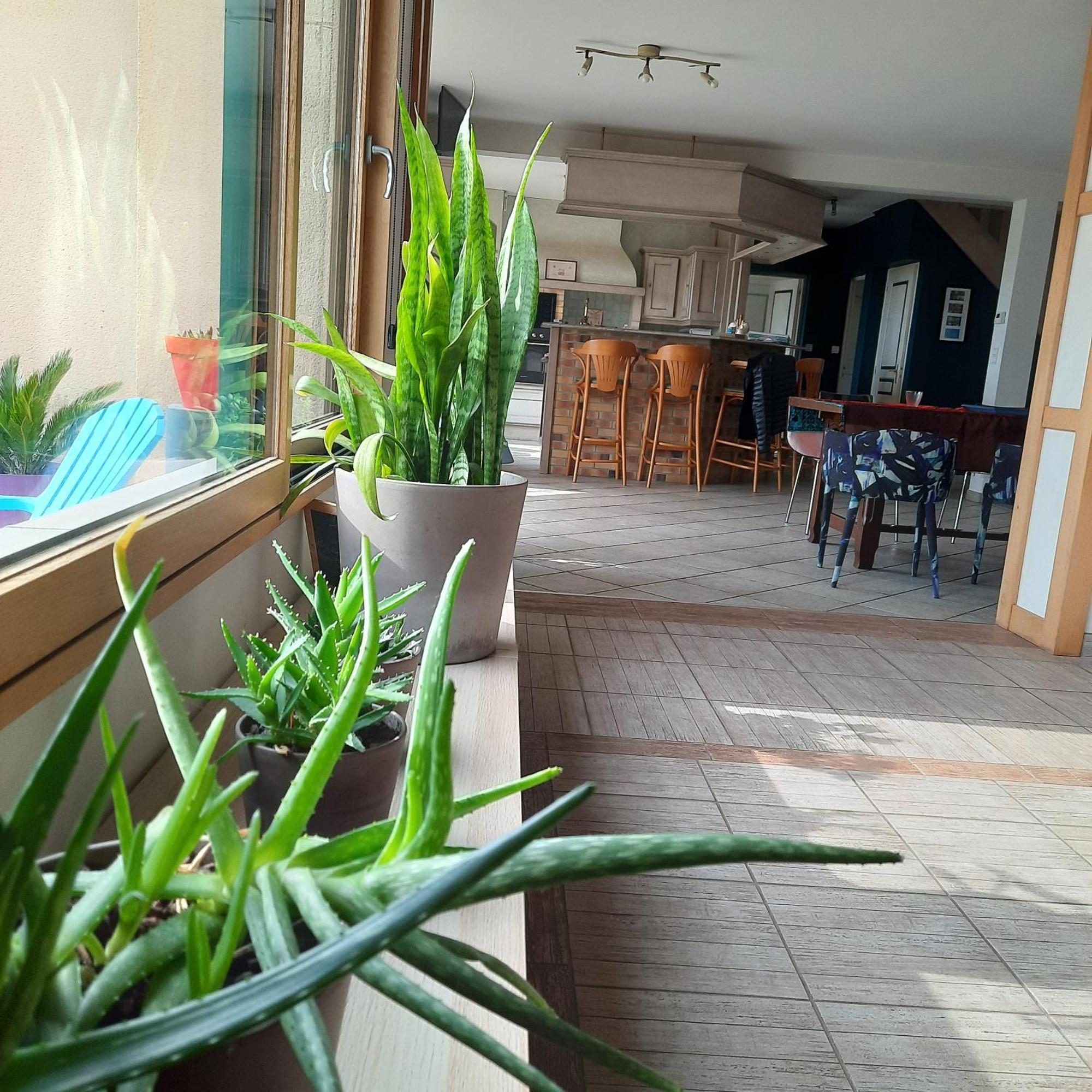 Magnifique Villa Avec Piscine Interieure Saint-Pois エクステリア 写真